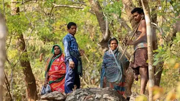 Tribal Welfare & Forest Rights