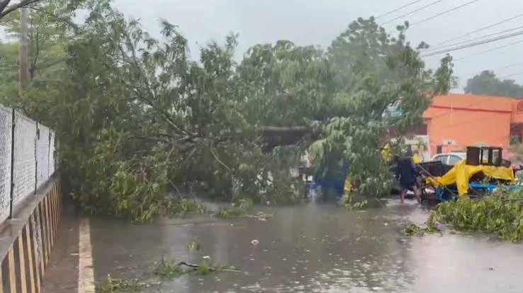 Cyclone Arnab Affects Chhattisgarh